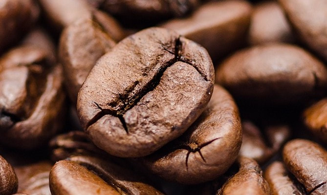 咖啡因 咖啡豆 知識 LiFe生活化學