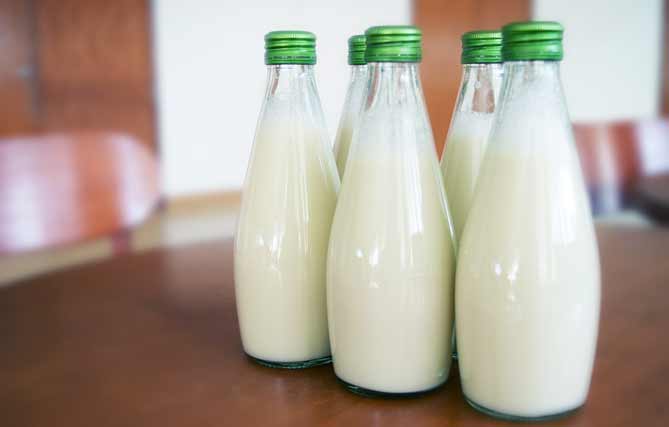 牛奶 乳糖不耐症 知識文章 LiFe生活化學
