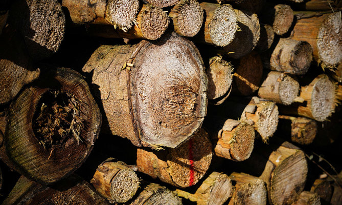 超級木材, 木頭, 木材, LiFe生活化學