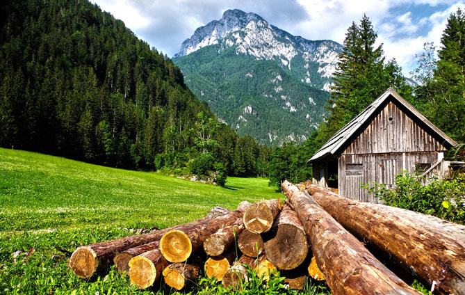 木質素, 超級木材, 木頭, 木材, 木材應用, LiFe生活化學