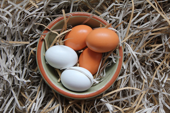 白雞蛋 棕雞蛋 蛋的營養