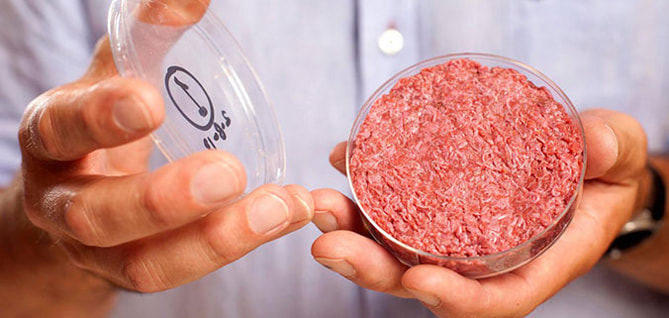 人造肉 clean meat 實驗室培養肉 cultured/lab-grown meat