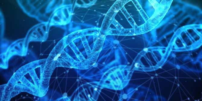 2020諾貝爾化學獎, 基因編輯技術,CRISPR/Cas9.諾貝爾獎, LiFe生活化學