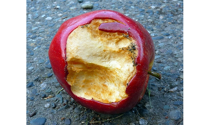 蘋果 apple 
