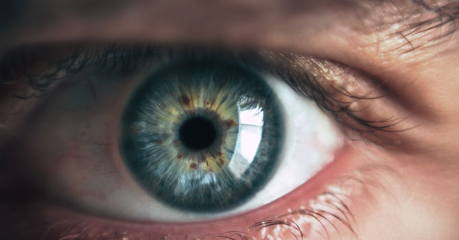 眼睛 靈魂之窗 葉黃素 LiFe生活化學